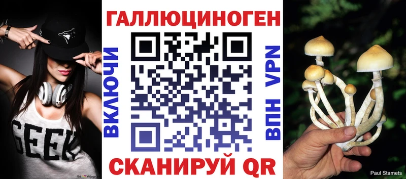 Купить где  Снежинск  Галлюциногенные грибы MAGIC MUSHROOMS 